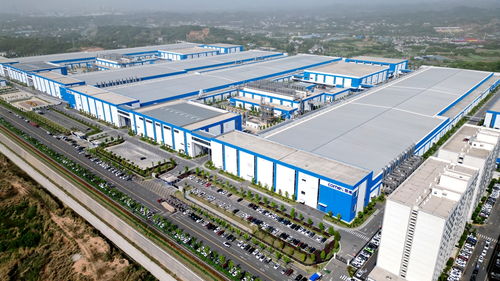 三峽夷陵倉儲業迎來新發展機遇